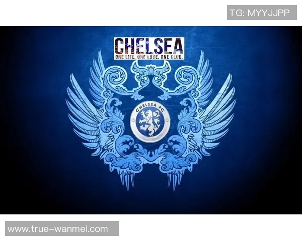 探索2014足球经理队徽的设计理念与历史背景解析